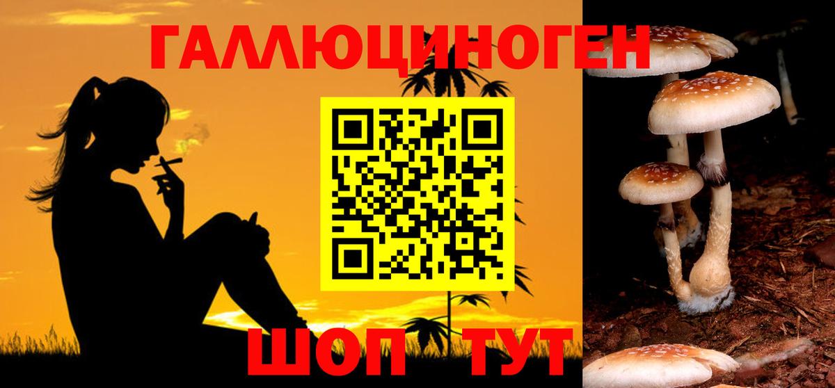 Галлюциногенные грибы прущие грибы  Вход с VPN  Верхняя Салда  Псилоцибиновые грибы MAGIC MUSHROOMS 